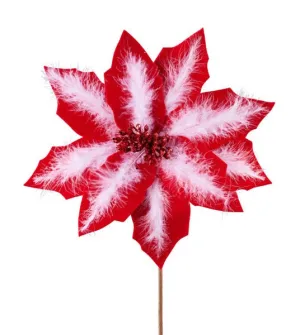 20"L Velvet/Feather Poinsettia Stem: Red, White - XS413130