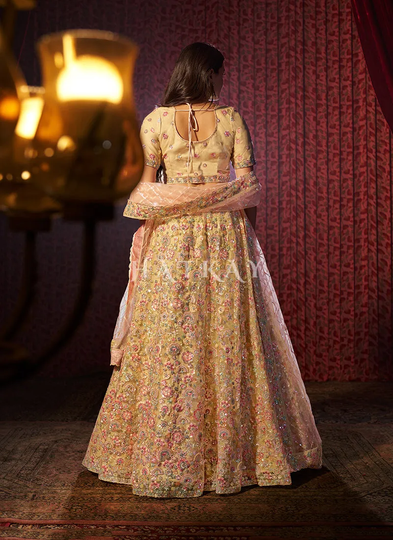 Beige Embroidery Bridal Lehenga Choli