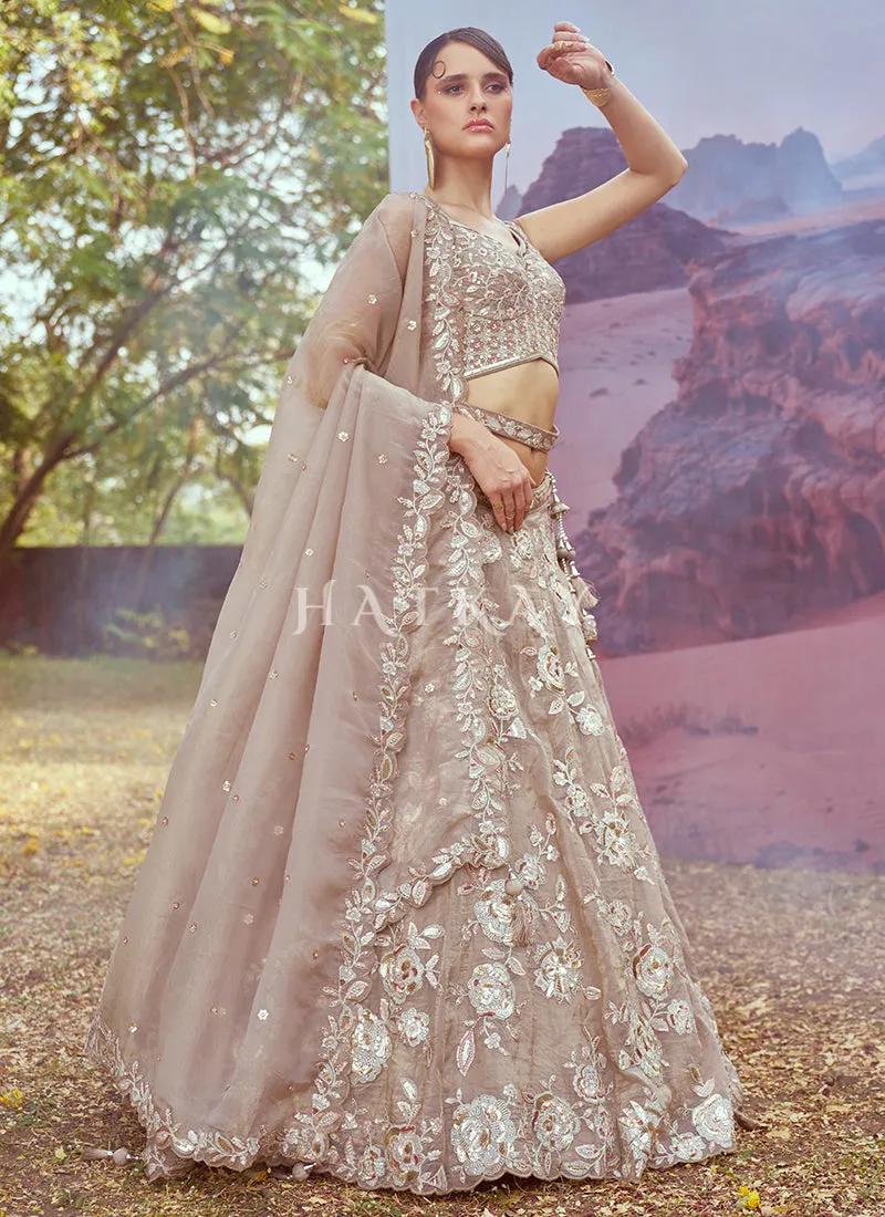 Beige Multi Embroidery Bridal Lehenga Choli