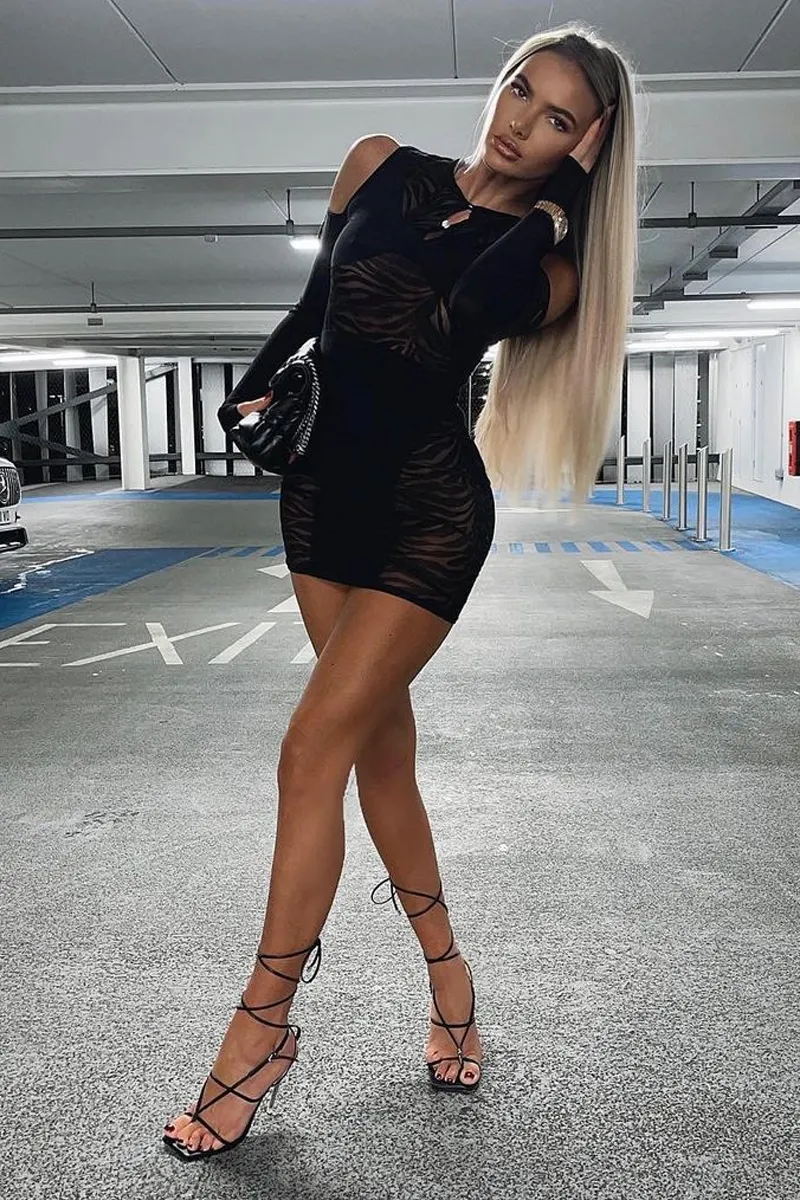Black Cut Out Velvet Mesh Zebra Print Mini Dress - Jayden