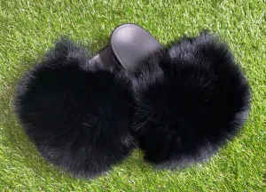 Black Pom