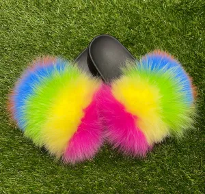 Bright Rainbow Pom