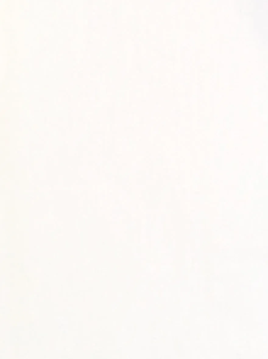 Cream Solid Regular Fit Formal Shirt | JadeBlue