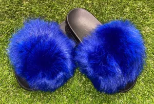 Dark Blue Pom
