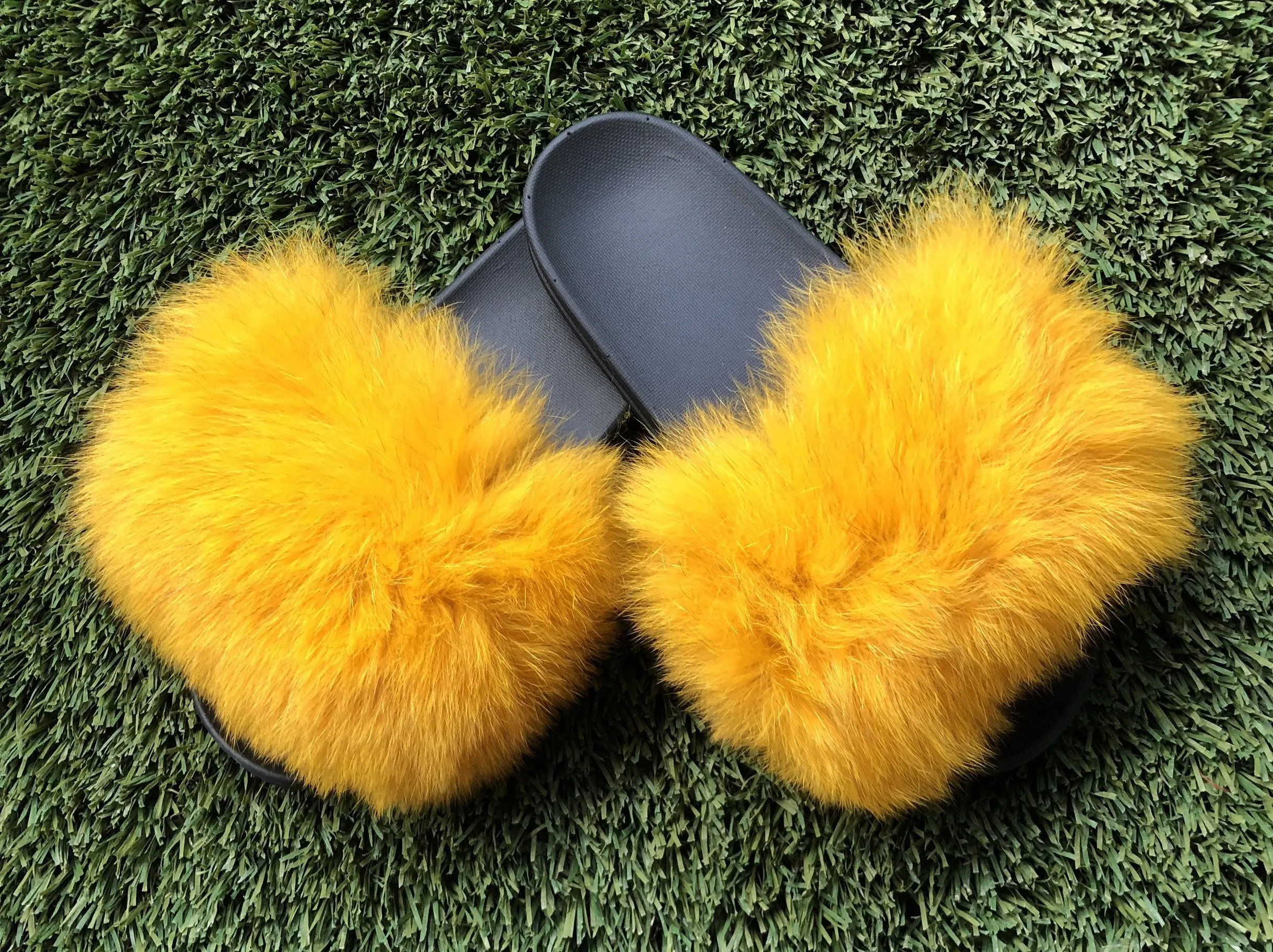 Dark Yellow Pom