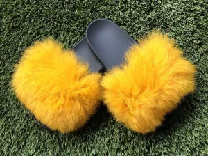 Dark Yellow Pom