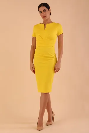 Donna Short Sleeved Pencil Dress