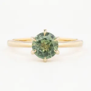 Floryn Ring 1.46ct Light Green Round Montana Sapphire, 14K Yellow Gold (One of a kind)