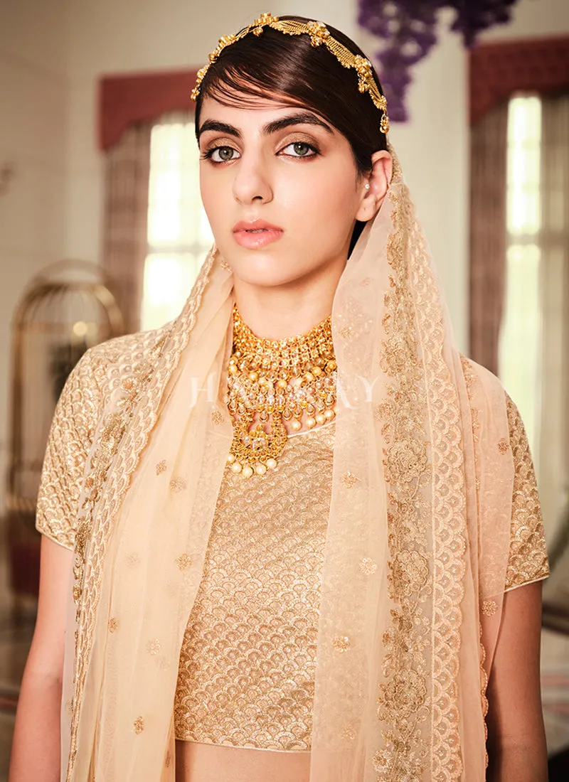 Golden Beige Embroidered Lehenga Choli