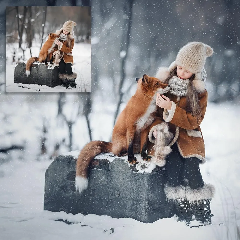 Ice Kissed Winter Photoshop Kit