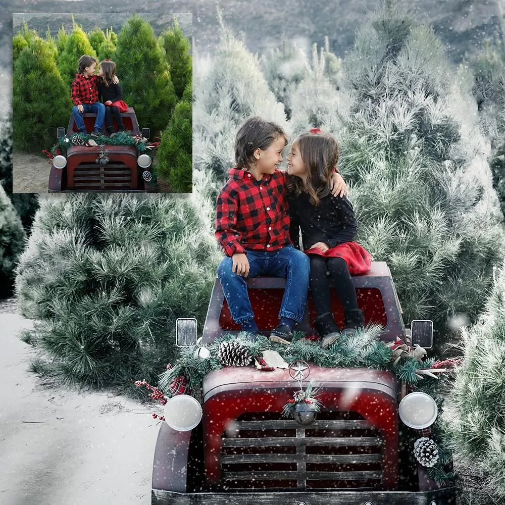 Ice Kissed Winter Photoshop Kit