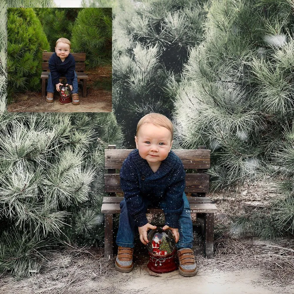 Ice Kissed Winter Photoshop Kit