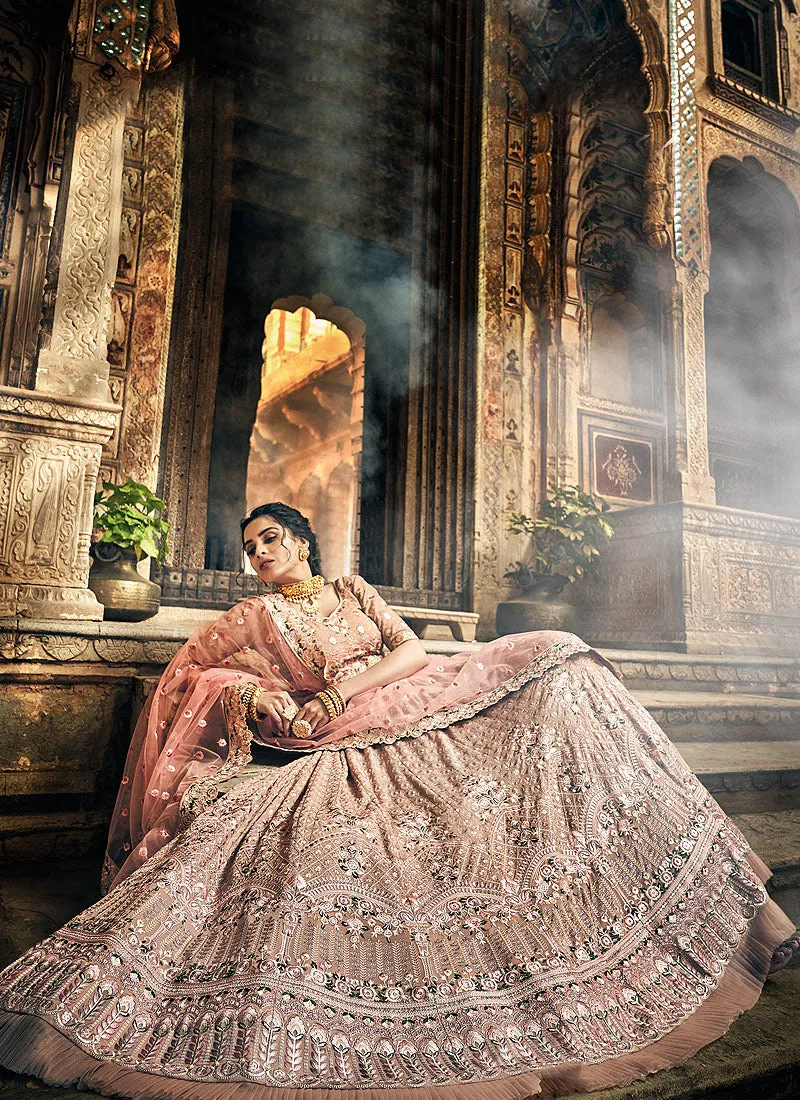 Light Brown Multi Embroidered Wedding Lehenga Choli