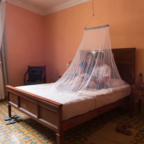 MicroNet Mosquito Net - Double