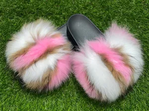 Neapolitan Pom