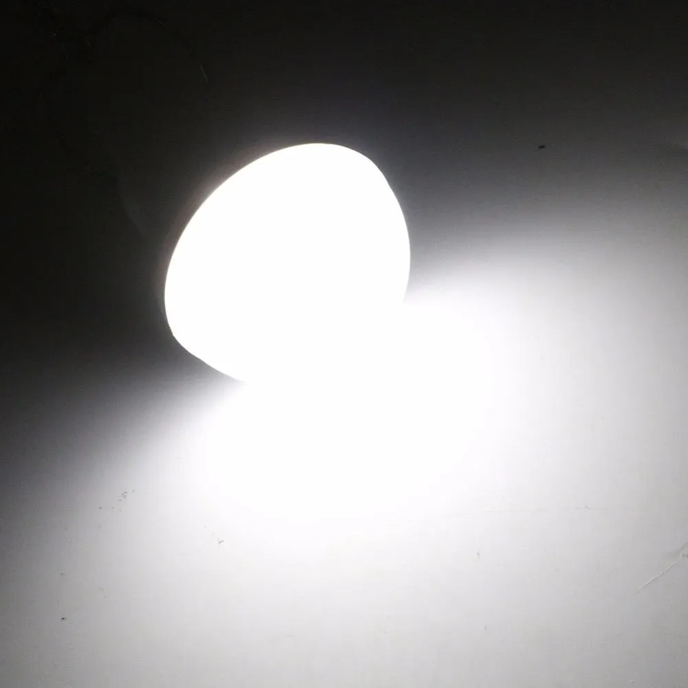 Outdoor Solar LED light