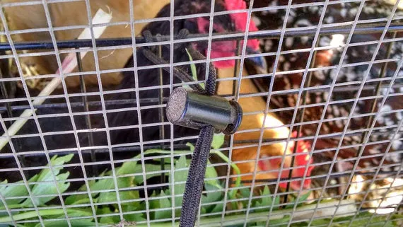 Peck-It-Clean Veggie Feeder for Chickens, 10" x 16"