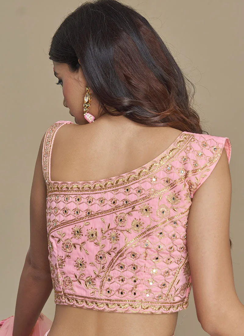 Soft Pink Multi Embroidered Designer Lehenga Choli