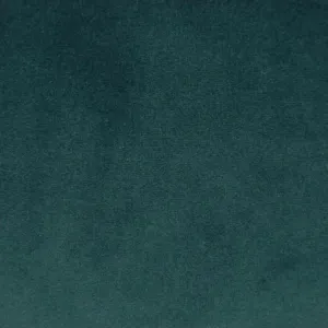 Superb Peacock