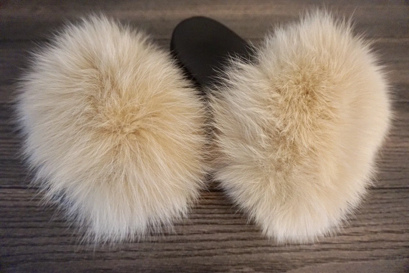 Tan Pom
